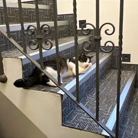 Hotel Belvedere Seevetal