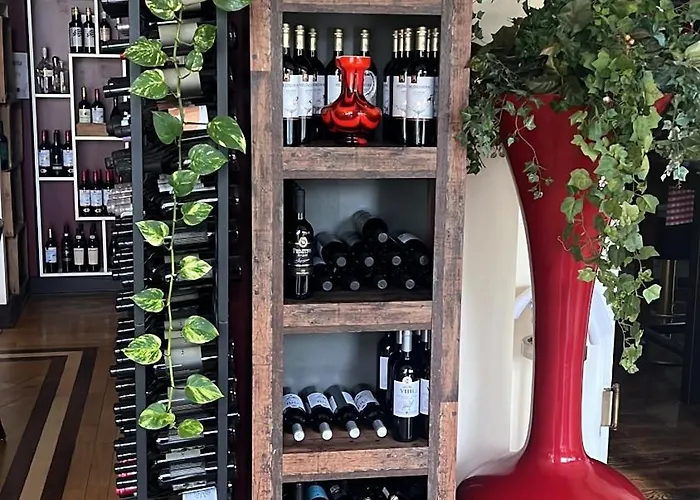 Отель Belvedere *