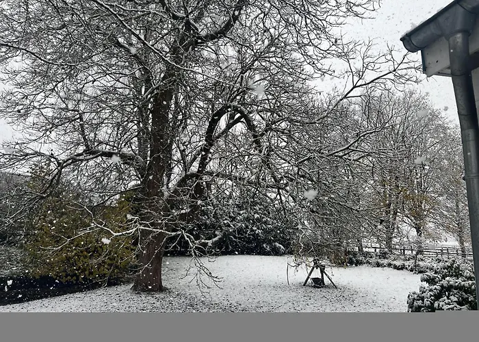 Belvedere Зеветаль