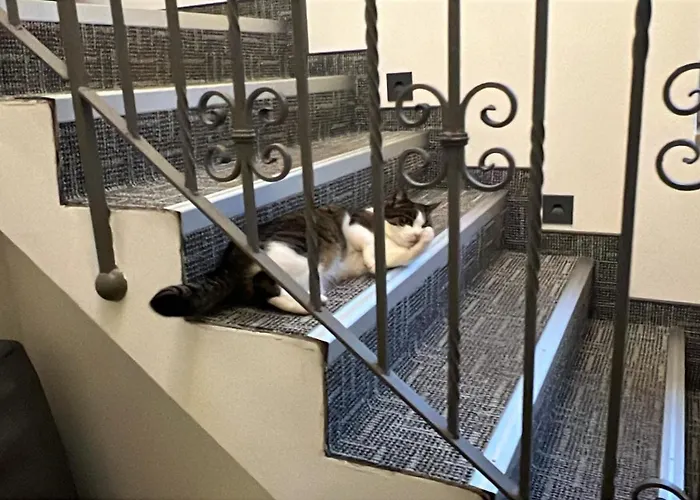 Отель Belvedere Зеветаль